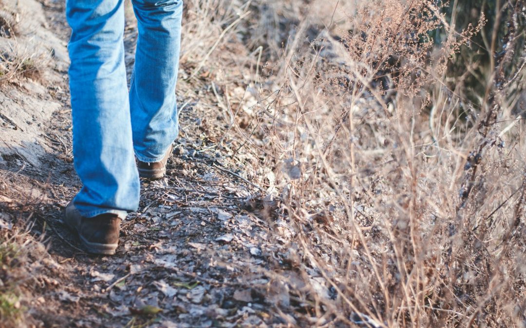 Cuando el suelo se acaba