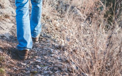 Cuando el suelo se acaba